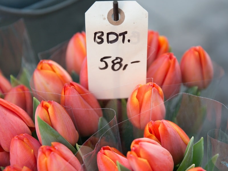 4else Premium wird kostenpflichtig