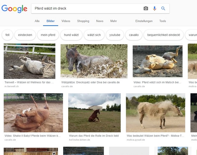 Bilder anzeigen bei Google